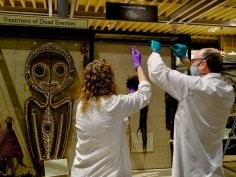 Pitt Rivers Museum, University of Oxford/Photograph: Hugh Warwick 