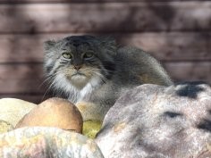 Ogród Zoologiczny w Poznaniu, FB