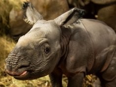 ZOO Wrocław