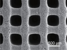 Nano Letters 2021, DOI: 10.1021/acs.nanolett.0c04780