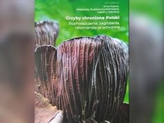 Polskie Towarzystwo Mykologiczne/Instytut Środowiska Rolniczego i Leśnego PAN