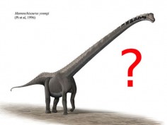 Mamenchisaurus youngi