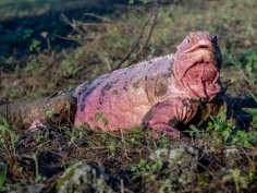 Parque Nacional Galapagos