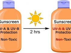 Ginzburg, A.L. et al. Photochem Photobiol Sci 20