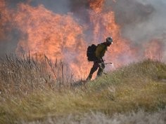 BLM Oregon & Washington, Flickr