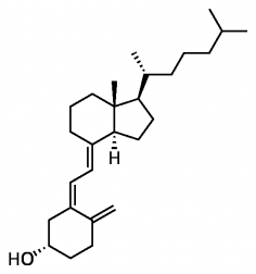Cząsteczka witaminy D3