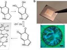 Nano Lett. 2022, 22, 2, 578-585