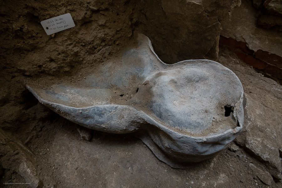 W katedrze Notre Dame znaleziono antropomorficzny ołowiany sarkofag i fragmenty lektorium