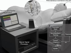 Chaudhary, U. et al. Nat Commun 13, 1236 (2022)