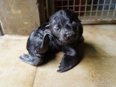 ZOO Wrocław