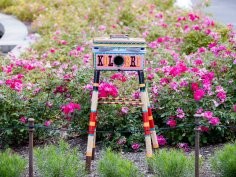 Photo by Liz Ligon. Courtesy of Brooklyn Botanic Garden