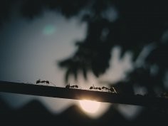 Prabir Kashyap, Unsplash