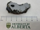 University of Alberta Meteorite Collection