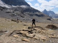 Archäologischer Dienst des Kantons Bern, Regula Glatz