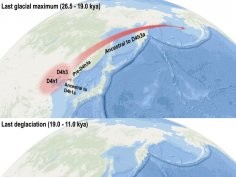 Yu-Chun Li et al. „Mitogenome evidence shows two radiation events...”, Cell Reports, 2023