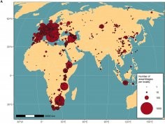 Kandel AW et al., The ROCEEH Out of Africa Database (ROAD), PLoS ONE 18(8)