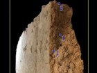 Arbøll, T.P., Rasmussen, S.L., de Jonge, N. et al. Revealing the secrets of a 2900-year-old clay brick, discovering a time capsule of ancient DNA. Sci Rep 13, 13092 (2023)