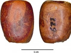 Murillo-Barroso, Cólliga & Martinón-Torres, Sci Rep 13, 14250 (2023), C. B. González, M. J. Vilar Welter, CC BY 4.0