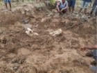 West Bengal Forest Department, Kasawan, P. & A. Roy (2024), Unearthing calf burials among Asian Elephants..., Journal of Threatened Taxa (16)2: 24615-24629. https://doi.org/10.11609/jott.8826.16.2.24615-24629