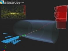 Cooperation between CERN and CMS