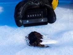 Katherine Joy, The University of Manchester, The Lost Meteorites of Antarctica