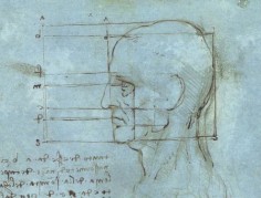 Wymiary ludzkiej głowy Leonardo da Vinci