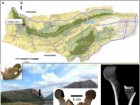 Justin Bradfield et al. „A 7,000-year-old multi-component arrow poison...”, iScience, Volume 27, Issue 12, 2024, doi.org/10.1016/j.isci.2024.111438