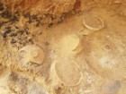 Svetlana Talis, Israel Antiquities Authority