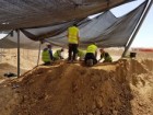 Svetlana Talis, Israel Antiquities Authority