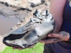 The Vindolanda Trust