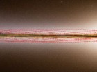 M. Hopkins/Ōtautahi-Oxford team. Base map: ESA/Gaia/DPAC, Stefan Payne-Wardenaar, CC-BY-SA 4.0
