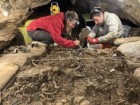 IPHES - Institut Català de Paleoecologia Humana i Evolució Social