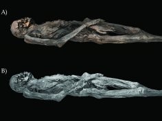 M. Vavulin