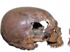 Mori, T., et al. Sci Rep 15, 27792 (2025). https://doi.org/10.1038/s41598-025-13561-8