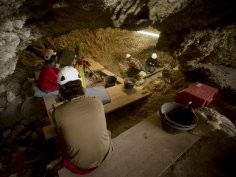 IPHES - Institut Català de Paleoecologia Humana i Evolució Social
