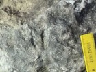 P. Szrek, Państwowy Instytut Geologiczny-Państwowy Instytut Badawczy