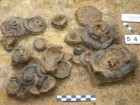 Hałuszko, A., Kadej, M. and Józefowska, A. (2025) Antiquity, pp. 1–9. doi:10.15184/aqy.2025.10182.