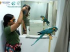 Adrian Azcárate (audiovisual@loroparque.com)
