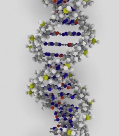 Helisa DNA