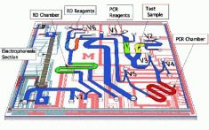 lab-on-a-chip