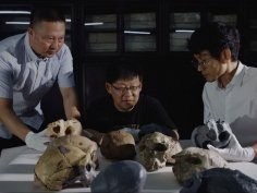 Mr. Guanghui Zhao