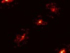 P. Cox et al. - ALMA (ESO/NAOJ/NRAO)