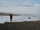 Joanne Johnson, British Antarctic Survey