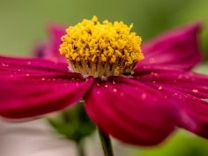 Magda Pawluczuk, Unsplash