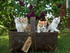 Jari Hytönen, Unsplash