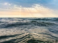 Robert Katzki, Unsplash