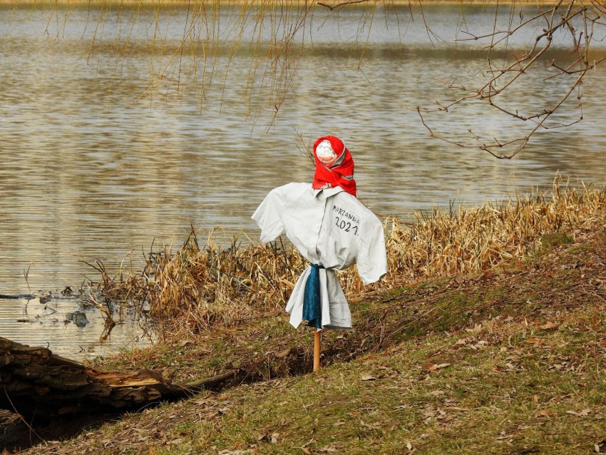 Topienie Marzanny, rytuał opisywany już przez Długosza