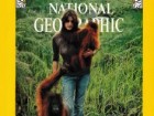 National Geographic, Orangutan Foundation International