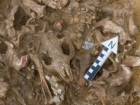 LDA Saxony-Anhalt, Klaus Bentele
