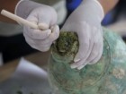 Northwest University, Ningxia Institute of Cultural Relics and Archeology, Chen R ,et Journal of Archaeological Science: Reports, DOI:10.1016/J.JASREP.2026.105738